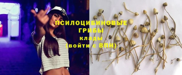 кристаллы Липки