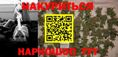 дмт Сланцы