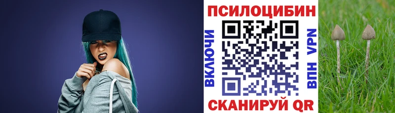 KRAKEN зеркало  наркошоп  Солнечногорск  Галлюциногенные грибы MAGIC MUSHROOMS 