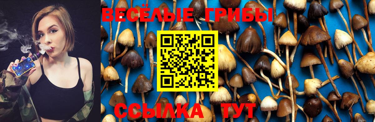 Солнечногорск  Галлюциногенные грибы Cubensis  Вход с VPN 